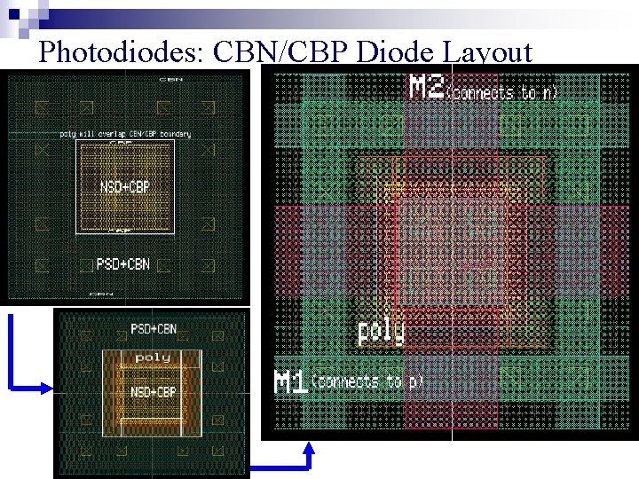 Photodiodes: CBN/CBP Diode Layout 