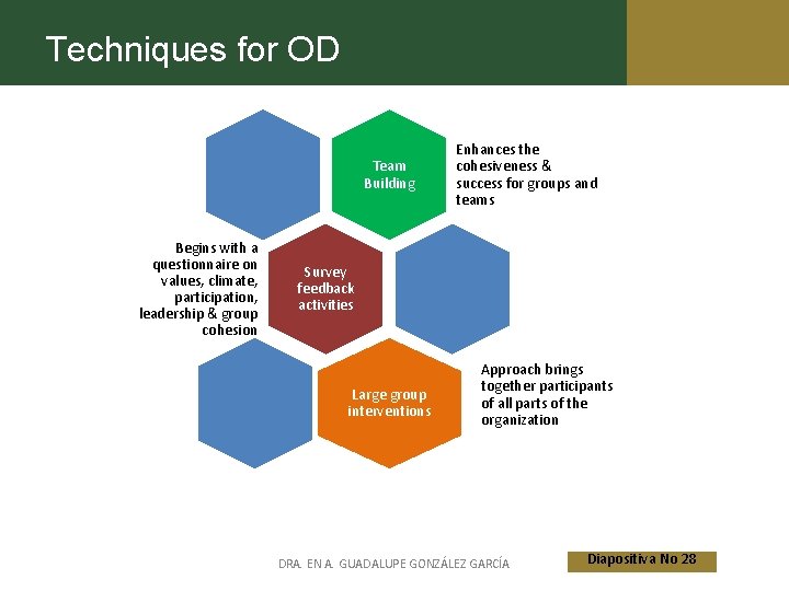 Techniques for OD Team Building Begins with a questionnaire on values, climate, participation, leadership