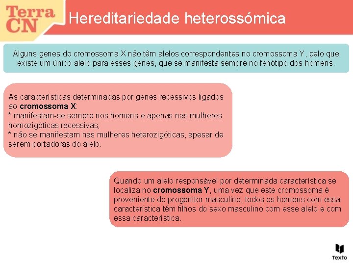 Hereditariedade heterossómica Alguns genes do cromossoma X não têm alelos correspondentes no cromossoma Y,