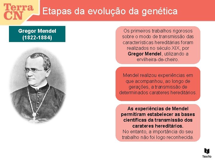 Etapas da evolução da genética Gregor Mendel (1822 -1884) Os primeiros trabalhos rigorosos sobre