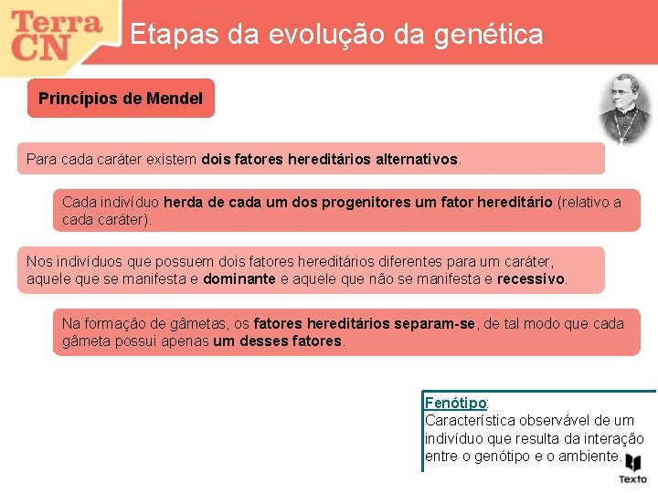 Etapas da evolução da genética Princípios de Mendel Para cada caráter existem dois fatores