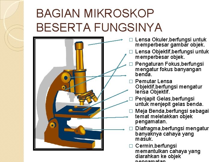 BAGIAN MIKROSKOP BESERTA FUNGSINYA � � � � Lensa Okuler, berfungsi untuk memperbesar gambar