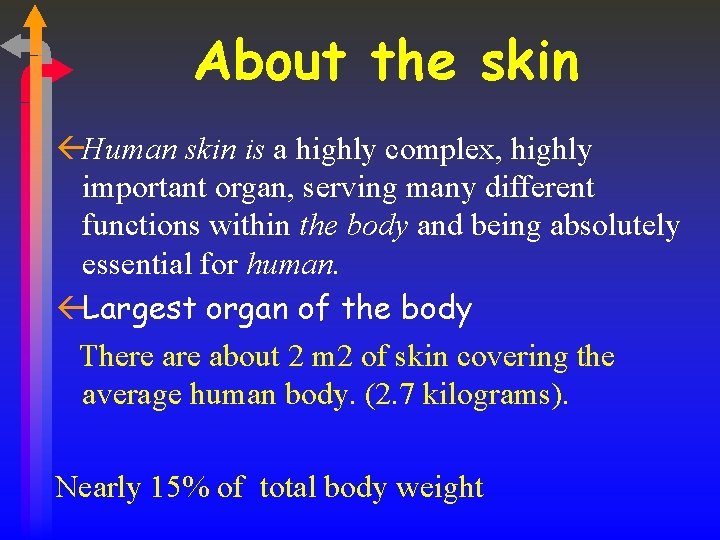 About the skin ßHuman skin is a highly complex, highly important organ, serving many