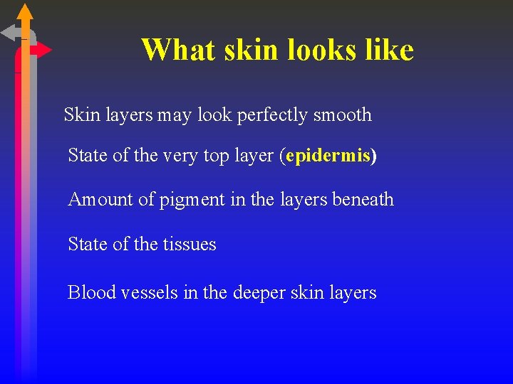 What skin looks like Skin layers may look perfectly smooth State of the very