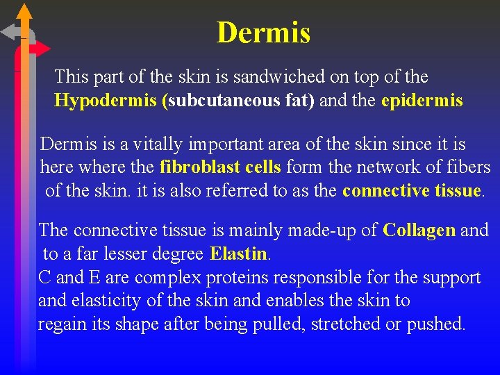Dermis This part of the skin is sandwiched on top of the Hypodermis (subcutaneous