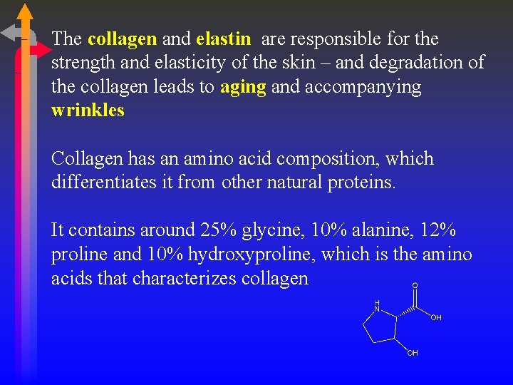 The collagen and elastin are responsible for the strength and elasticity of the skin