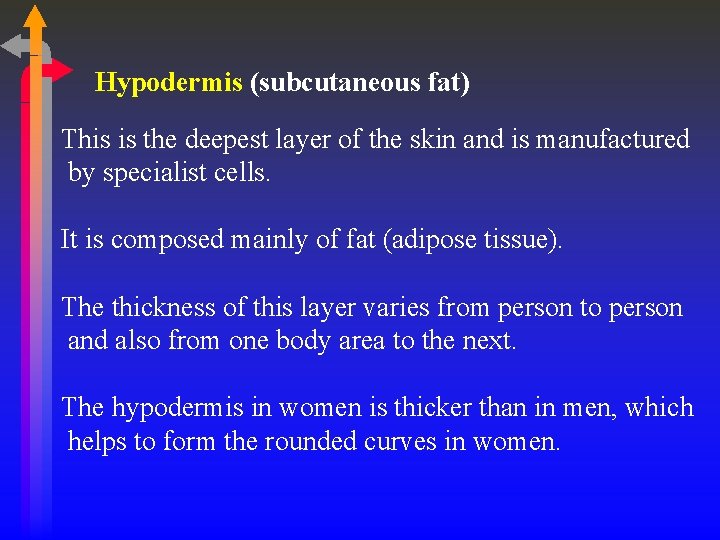 Hypodermis (subcutaneous fat) This is the deepest layer of the skin and is manufactured