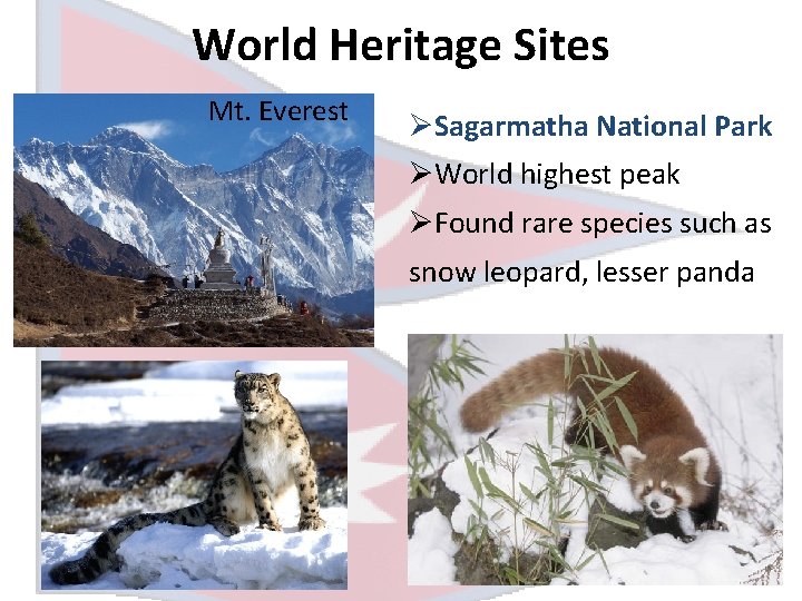 World Heritage Sites Mt. Everest ØSagarmatha National Park ØWorld highest peak ØFound rare species