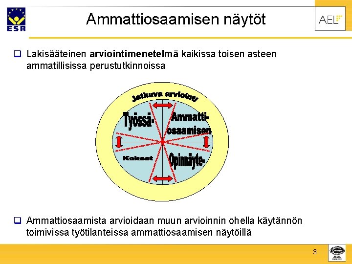 Ammattiosaamisen näytöt q Lakisääteinen arviointimenetelmä kaikissa toisen asteen ammatillisissa perustutkinnoissa q Ammattiosaamista arvioidaan muun