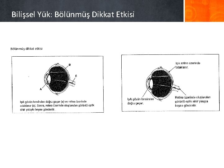 Bilişsel Yük: Bölünmüş Dikkat Etkisi 