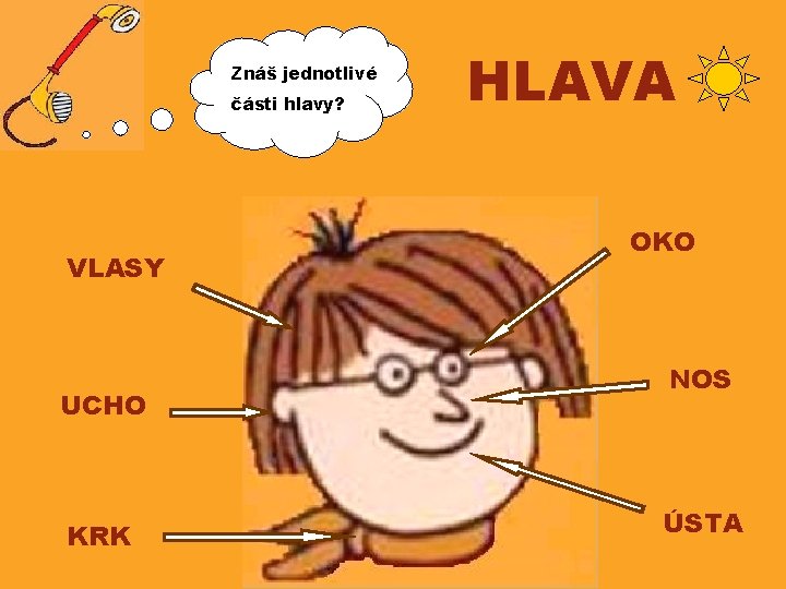 Znáš jednotlivé části hlavy? VLASY UCHO KRK HLAVA OKO NOS ÚSTA 