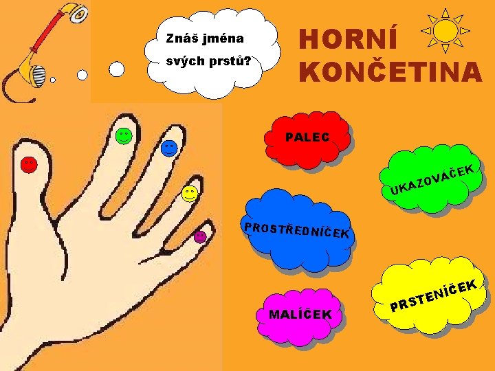 Znáš jména svých prstů? HORNÍ KONČETINA PALEC EK ÁČ ZOV UKA PROSTŘEDNÍČ EK K
