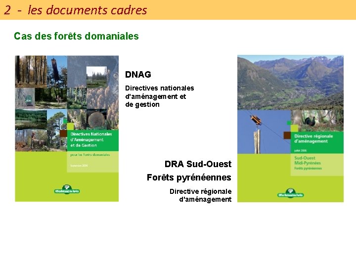 2 - les documents cadres Cas des forêts domaniales DNAG Directives nationales d'aménagement et