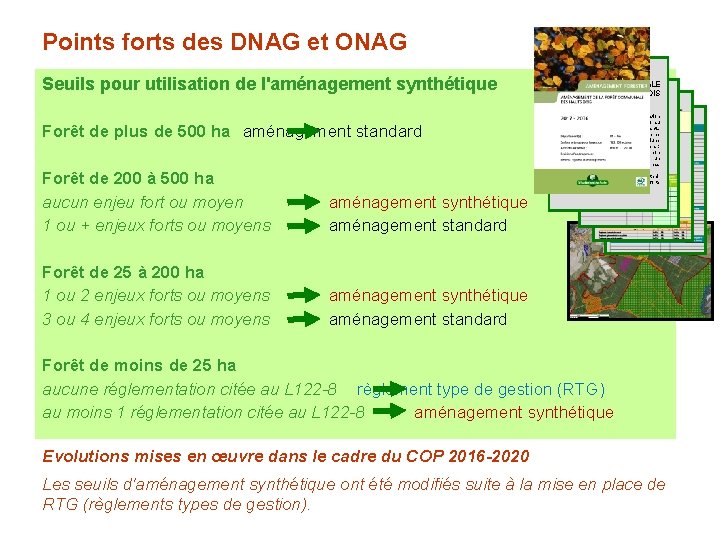 Points forts des DNAG et ONAG Seuils pour utilisation de l'aménagement synthétique Forêt de