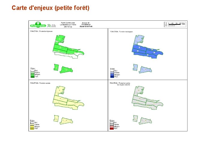 Carte d'enjeux (petite forêt) 