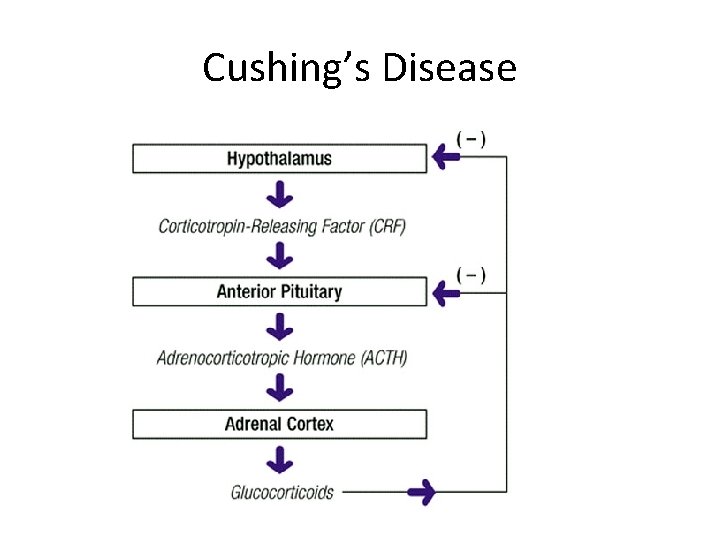 Cushing’s Disease 