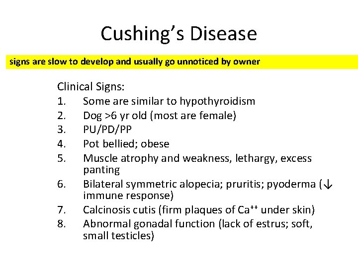 Cushing’s Disease signs are slow to develop and usually go unnoticed by owner Clinical