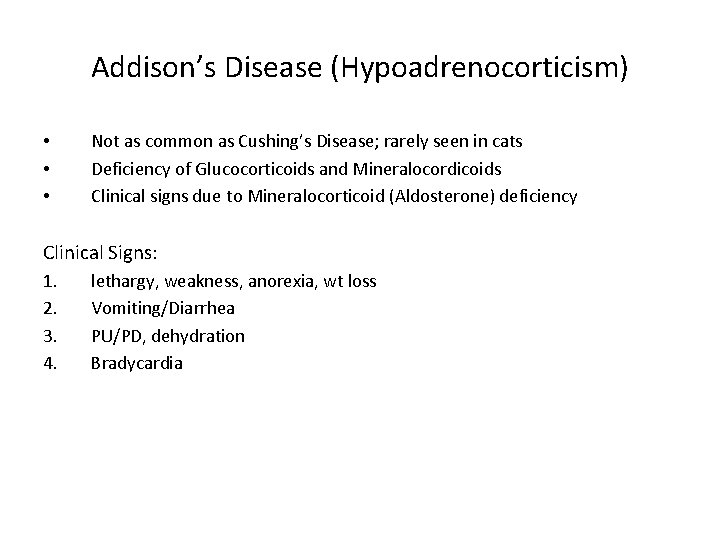 Addison’s Disease (Hypoadrenocorticism) • • • Not as common as Cushing’s Disease; rarely seen