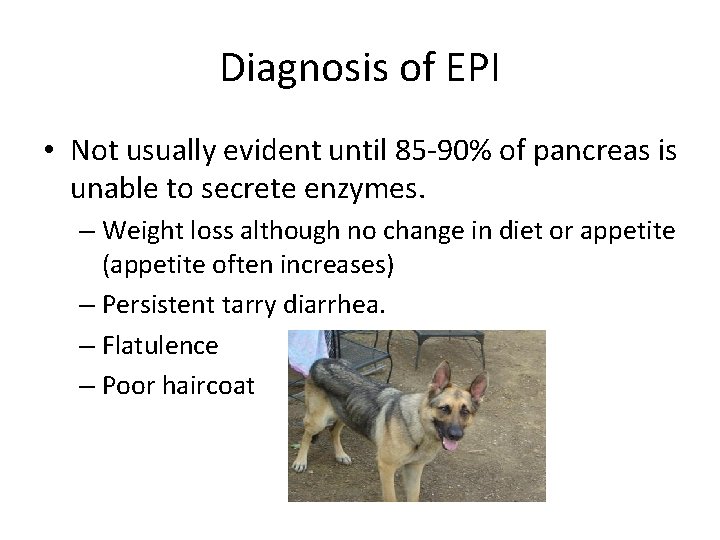 Diagnosis of EPI • Not usually evident until 85 -90% of pancreas is unable