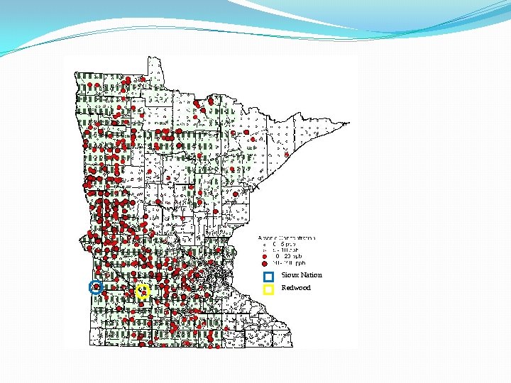Sioux Nation Redwood 