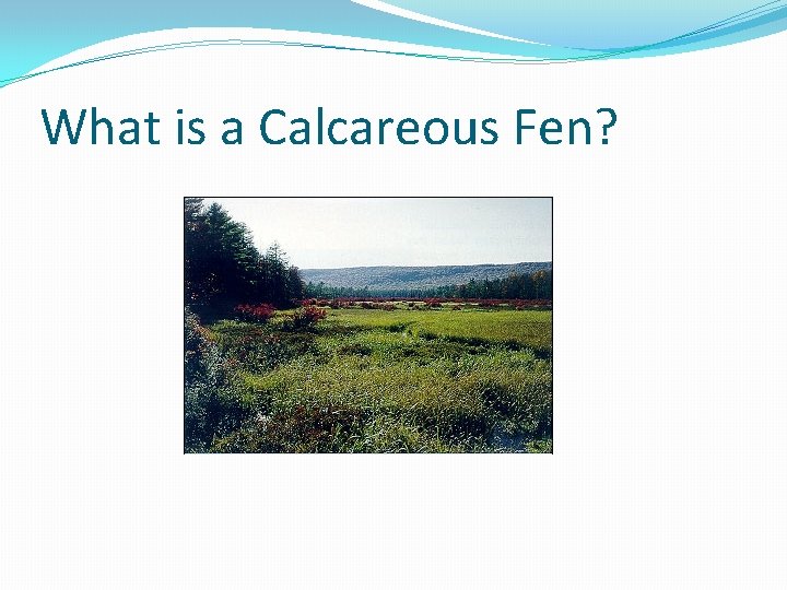 What is a Calcareous Fen? 
