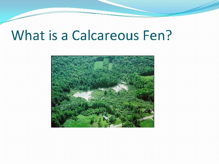 What is a Calcareous Fen? 