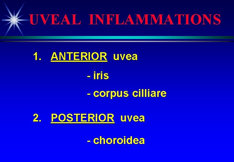 UVEAL INFLAMMATIONS 1. ANTERIOR uvea - iris - corpus cilliare 2. POSTERIOR uvea -