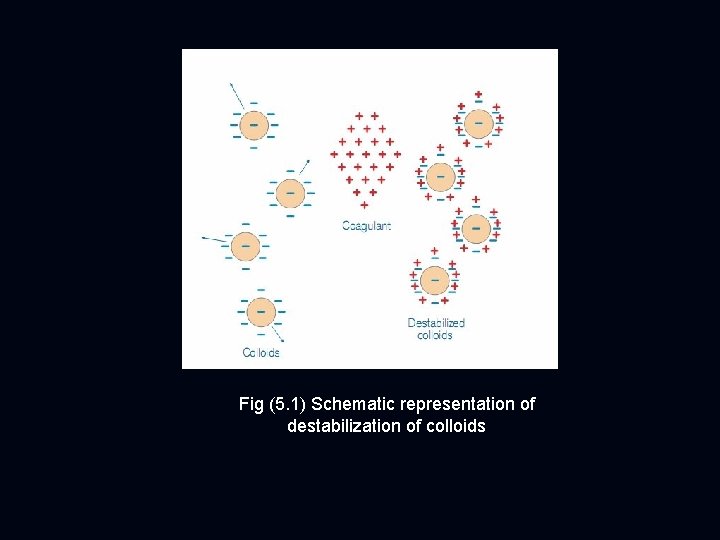 Fig (5. 1) Schematic representation of destabilization of colloids 