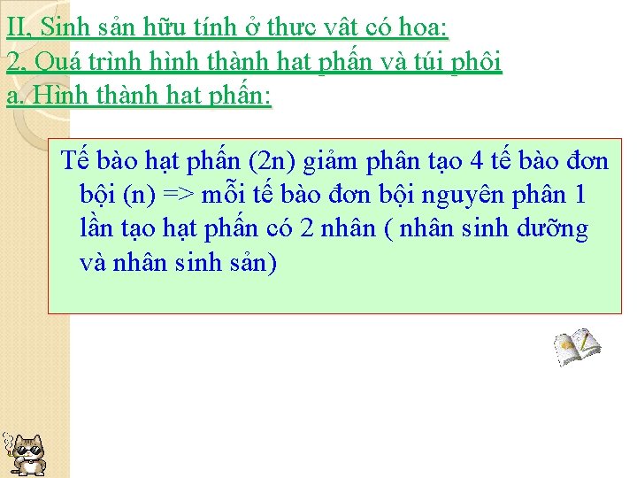 II, Sinh sản hữu tính ở thực vật có hoa: 2, Quá trình hình