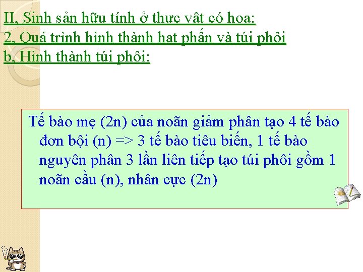 II, Sinh sản hữu tính ở thực vật có hoa: 2, Quá trình hình