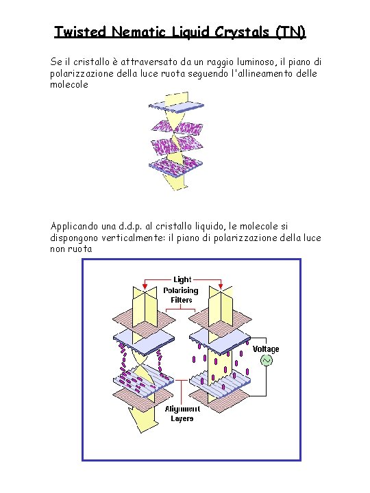 Twisted Nematic Liquid Crystals (TN) Se il cristallo è attraversato da un raggio luminoso,