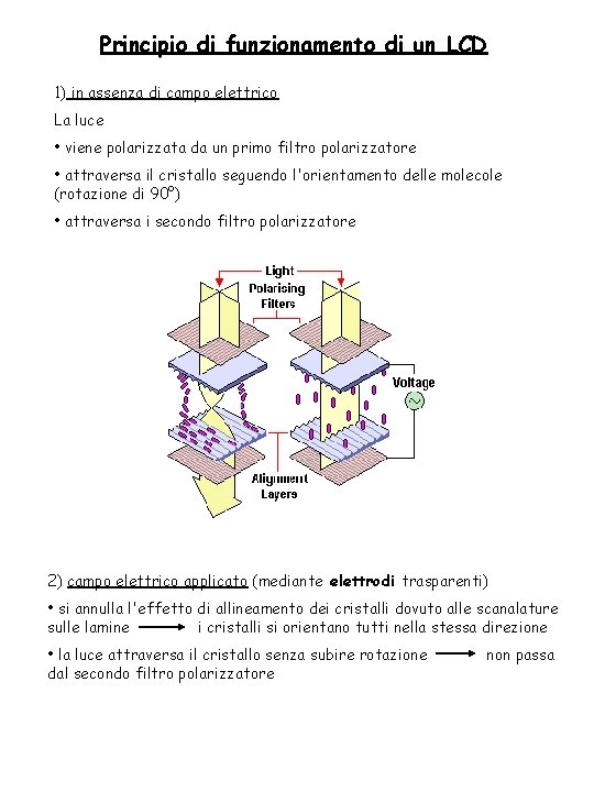 Principio di funzionamento di un LCD 1) in assenza di campo elettrico La luce Principio di funzionamento di un LCD 1) in assenza di campo elettrico La luce