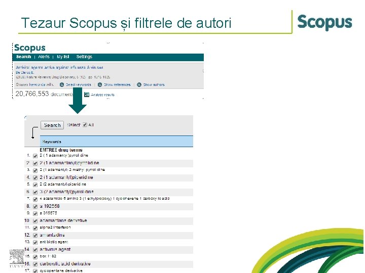 Tezaur Scopus și filtrele de autori 