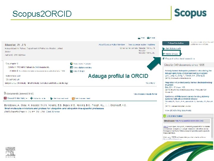 Scopus 2 ORCID Adauga profilul la ORCID 