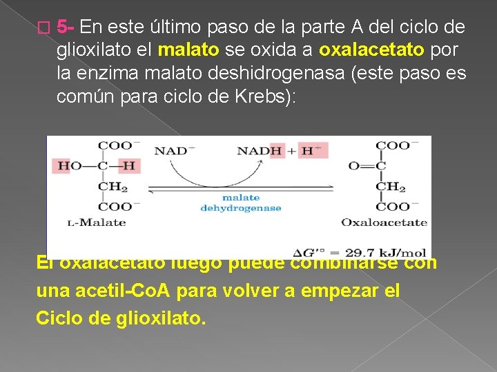 � 5 - En este último paso de la parte A del ciclo de