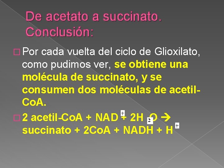 De acetato a succinato. Conclusión: � Por cada vuelta del ciclo de Glioxilato, como