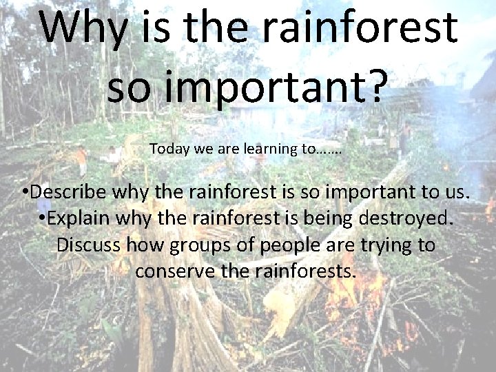 Why is the rainforest so important Today we