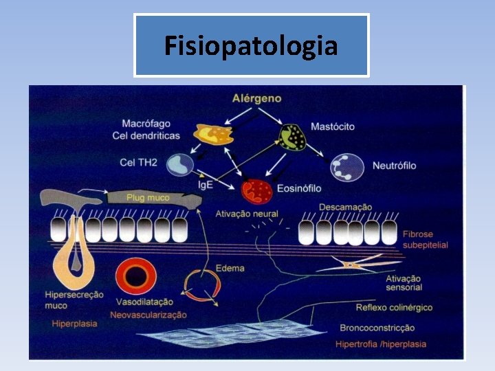 Fisiopatologia 