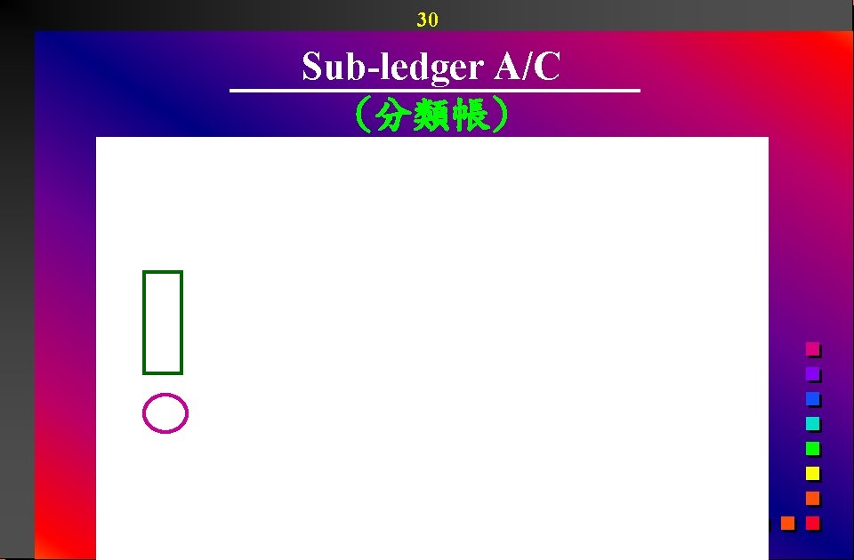 30 Sub-ledger A/C (分類帳) 