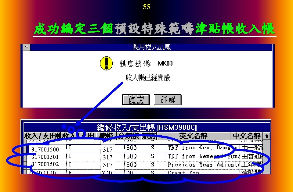 55 成功編定三個預設特殊範疇津貼帳收入帳 317001500 317001501 317001502 317 317 