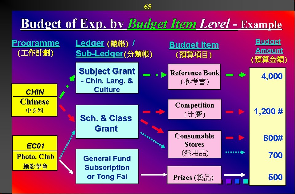 65 Budget of Exp. by Budget Item Level - Example Programme ( 作計劃) Ledger