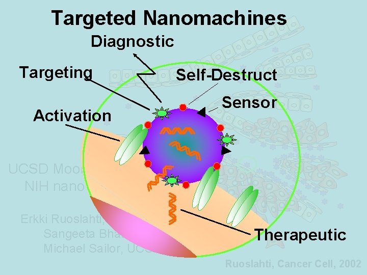 Targeted Nanomachines Diagnostic Targeting Self-Destruct Activation Sensor UCSD Moores Cancer Center NIH nano. TUMOR