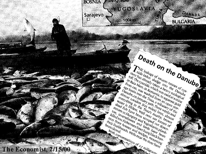 Death on the Danube The Economist, 2/15/00 