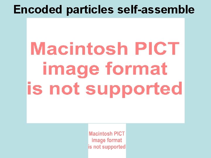 Encoded particles self-assemble 