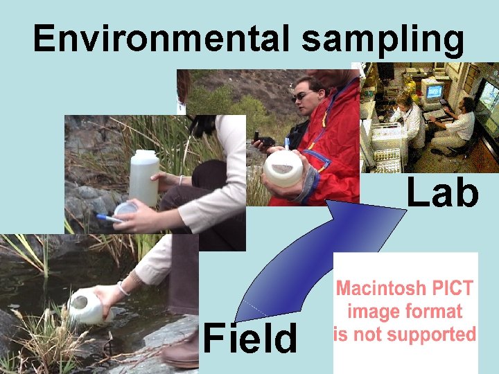 Environmental sampling Lab Field 