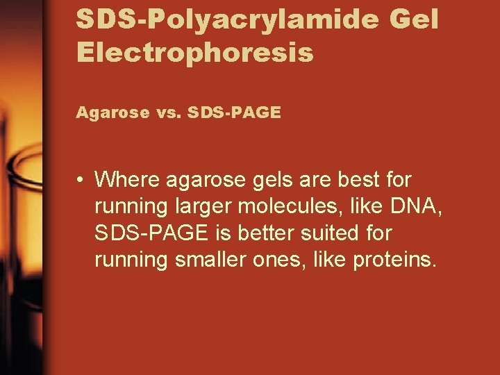 SDS-Polyacrylamide Gel Electrophoresis Agarose vs. SDS-PAGE • Where agarose gels are best for running