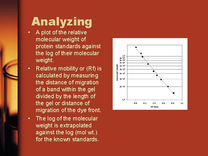 Analyzing • A plot of the relative molecular weight of protein standards against the