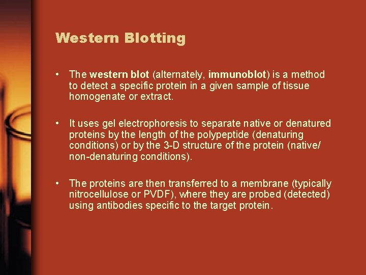 Western Blotting • The western blot (alternately, immunoblot) is a method to detect a