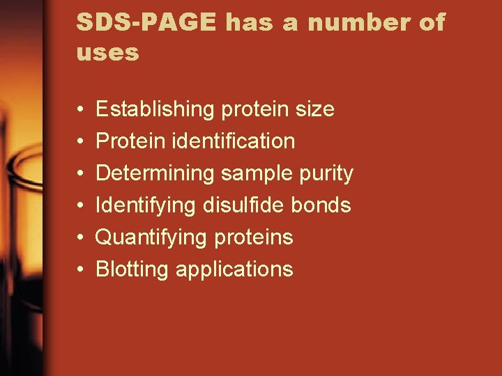 SDS-PAGE has a number of uses • • • Establishing protein size Protein identification