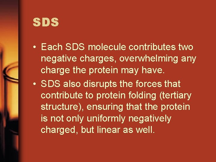 SDS • Each SDS molecule contributes two negative charges, overwhelming any charge the protein